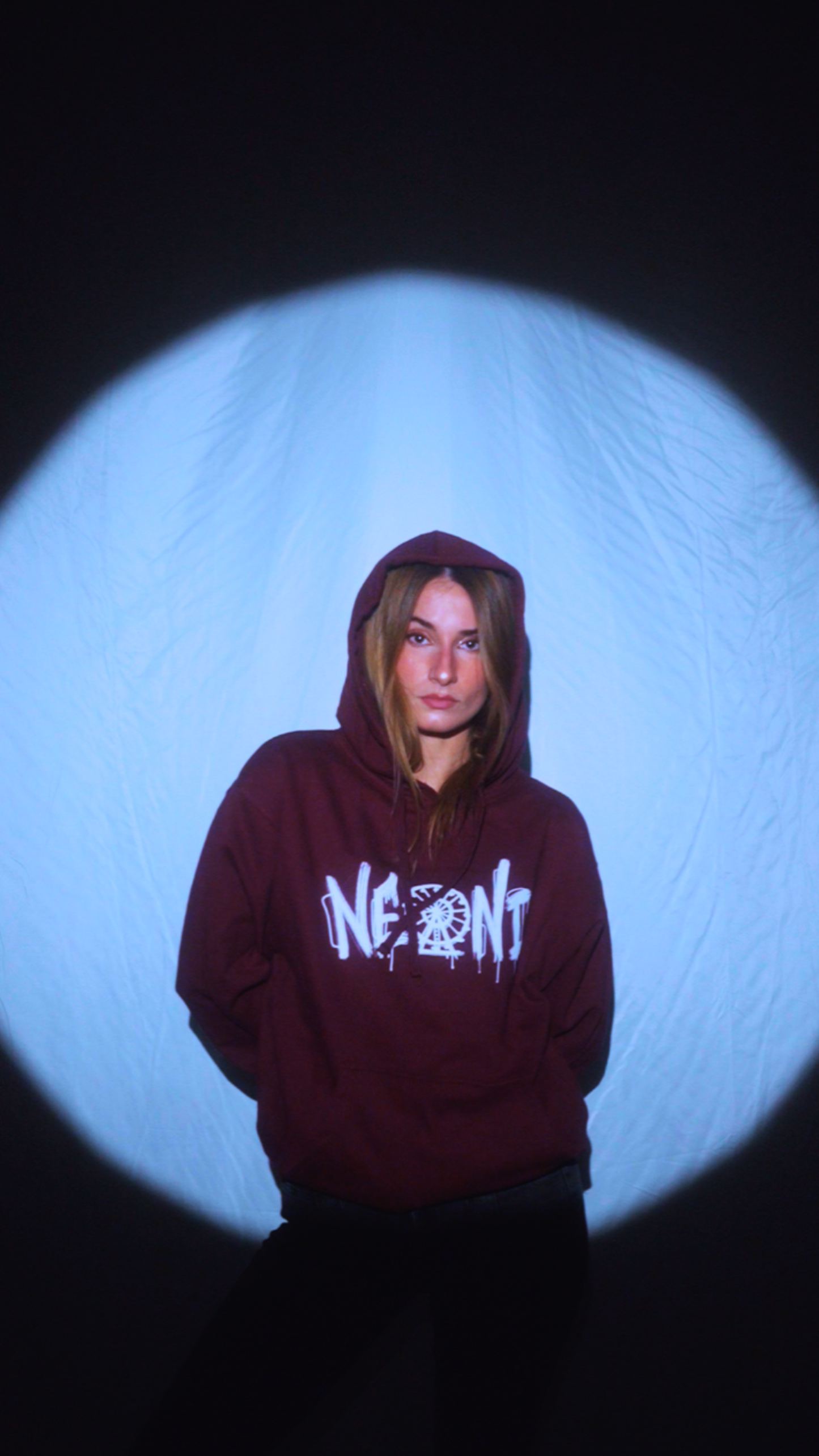 Ferris Wheel Logo Hoodie